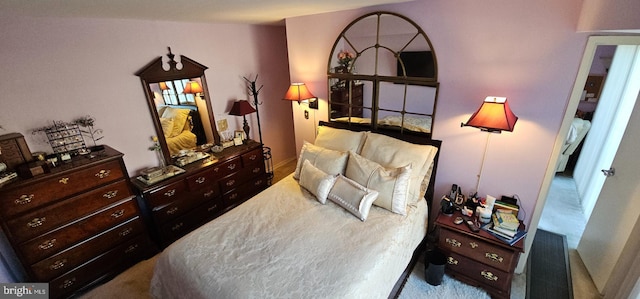 510 N Street Street SW Unit N-233/234, Washington, DC 20024 - bedroom featuring carpet floors