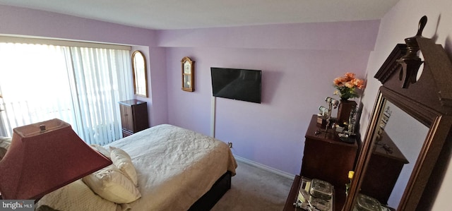 510 N Street Street SW Unit N-233/234, Washington, DC 20024 - bedroom with carpet flooring and baseboards