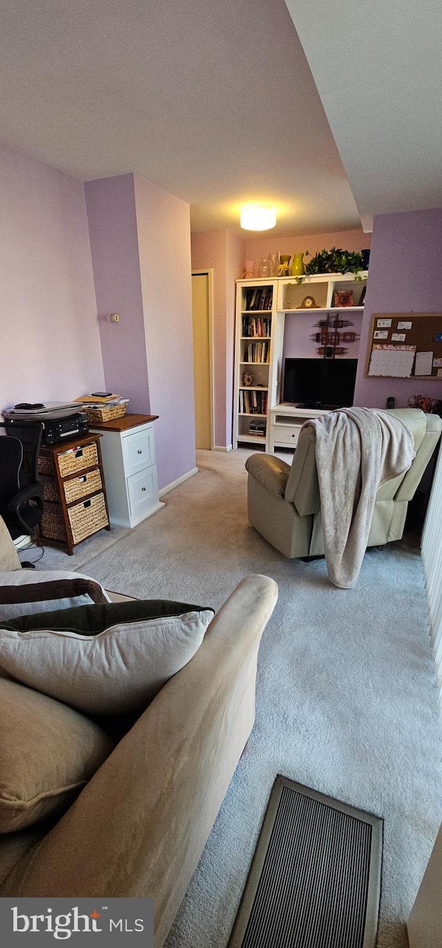 510 N Street Street SW Unit N-233/234, Washington, DC 20024 - living area with carpet floors