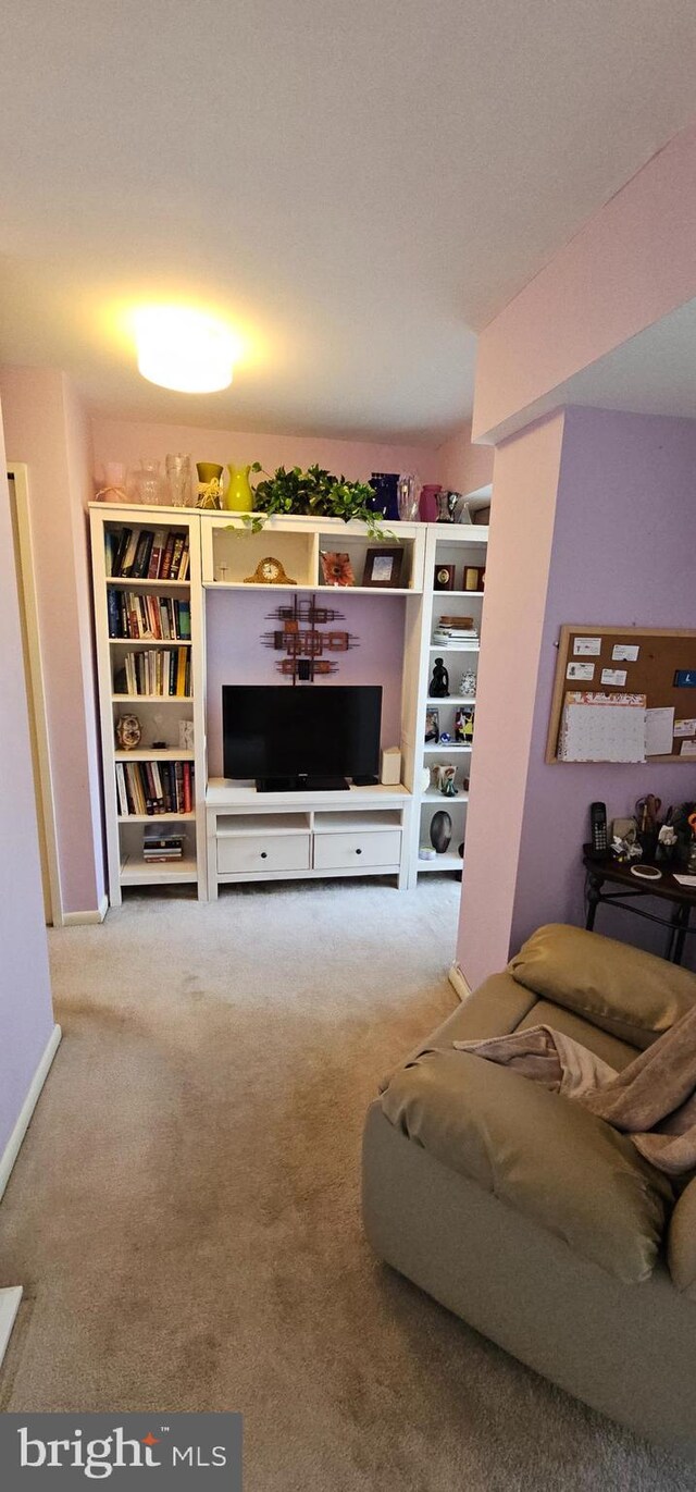 510 N Street Street SW Unit N-233/234, Washington, DC 20024 - living area with carpet flooring