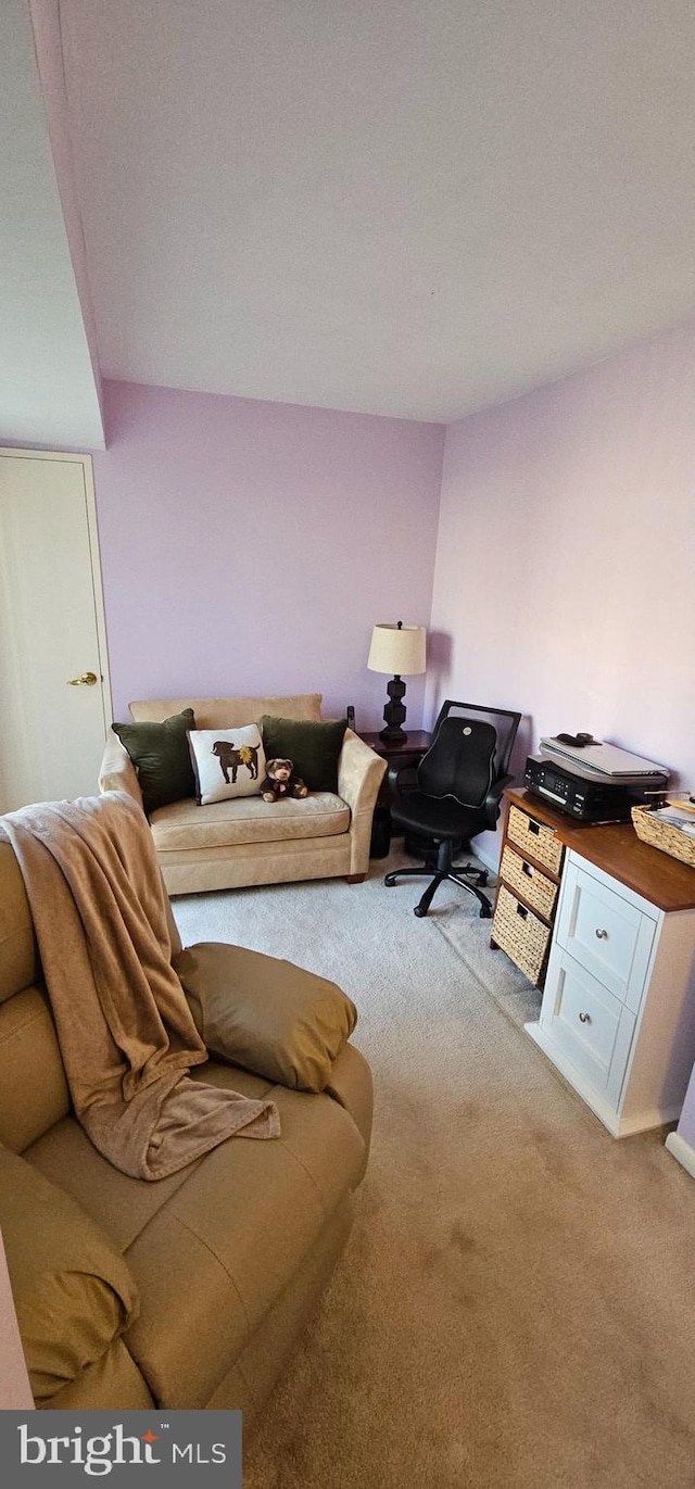 510 N Street Street SW Unit N-233/234, Washington, DC 20024 - view of carpeted living area