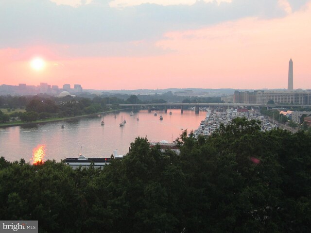 510 N Street Street SW Unit N-233/234, Washington, DC 20024 - view of home's community