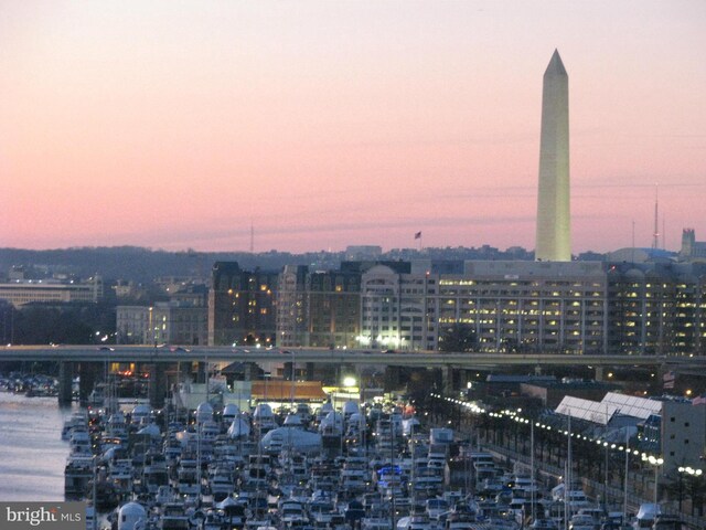 510 N Street Street SW Unit N-233/234, Washington, DC 20024 - view of city featuring a nearby body of water