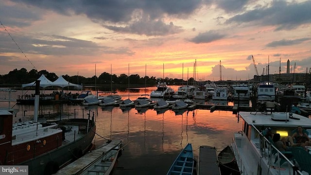 510 N Street Street SW Unit N-233/234, Washington, DC 20024 - water view with a dock