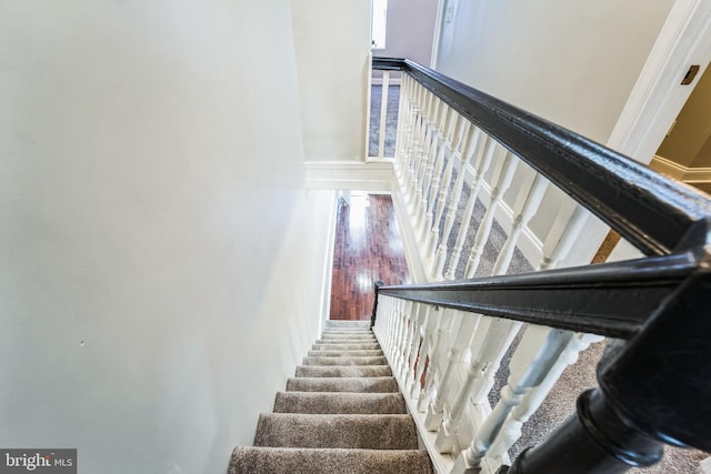 stairway with wood-type flooring