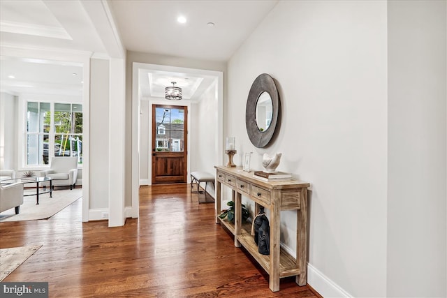 entryway with a wealth of natural light and dark hardwood / wood-style floors