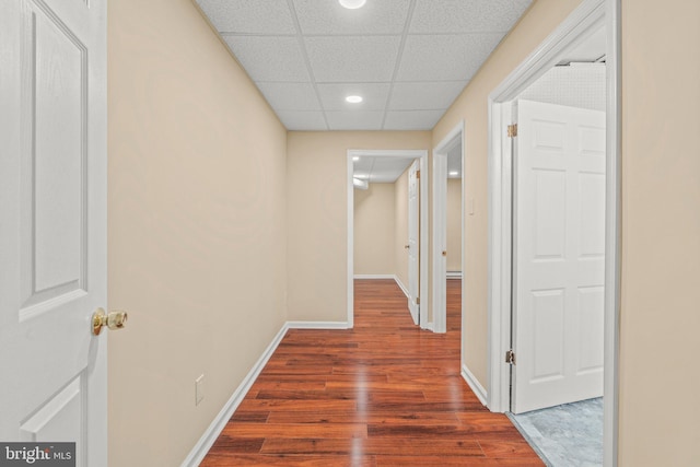 hallway with a paneled ceiling and hardwood / wood-style floors