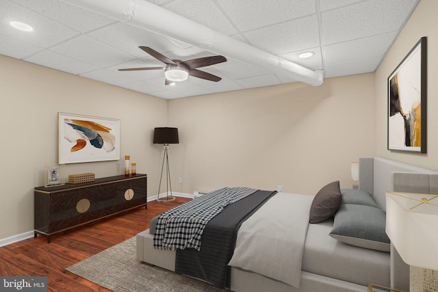 bedroom featuring ceiling fan, dark hardwood / wood-style floors, and a drop ceiling