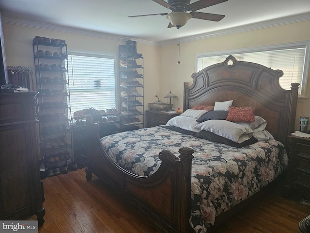 bedroom featuring ceiling fan, dark hardwood / wood-style flooring, crown molding, and multiple windows