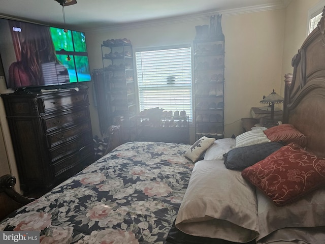 bedroom featuring multiple windows and crown molding