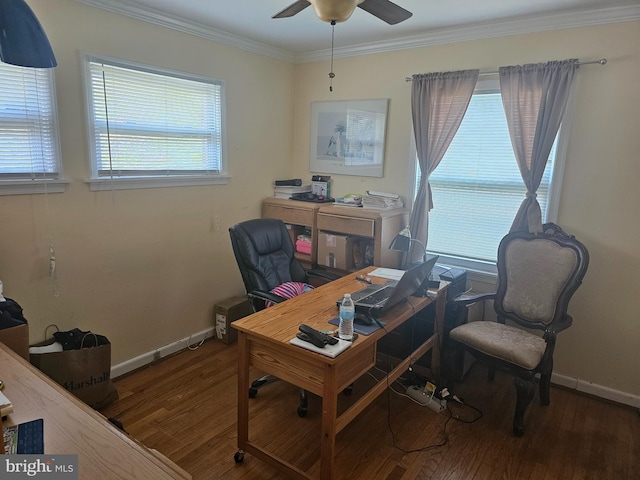 home office with hardwood / wood-style flooring, ceiling fan, and ornamental molding