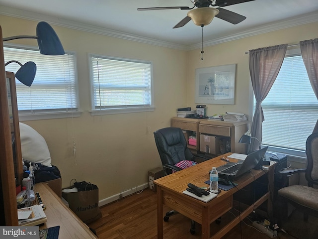 office space featuring ceiling fan, hardwood / wood-style floors, and ornamental molding