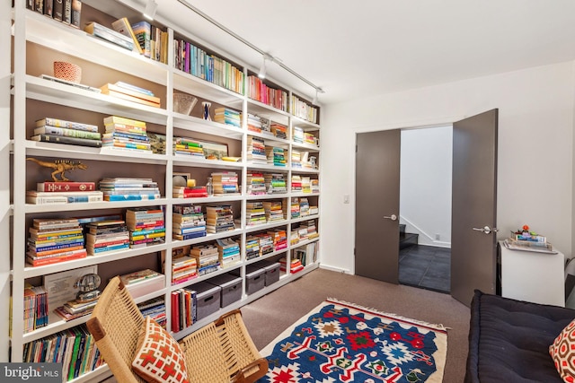 living area with dark carpet