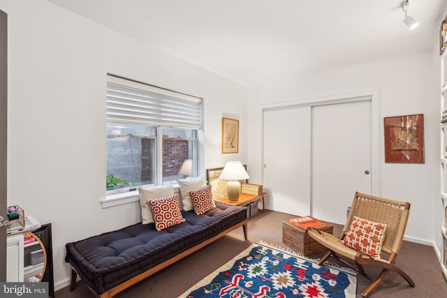 sitting room with rail lighting and carpet floors