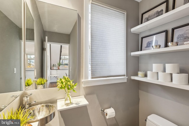 bathroom with sink and toilet