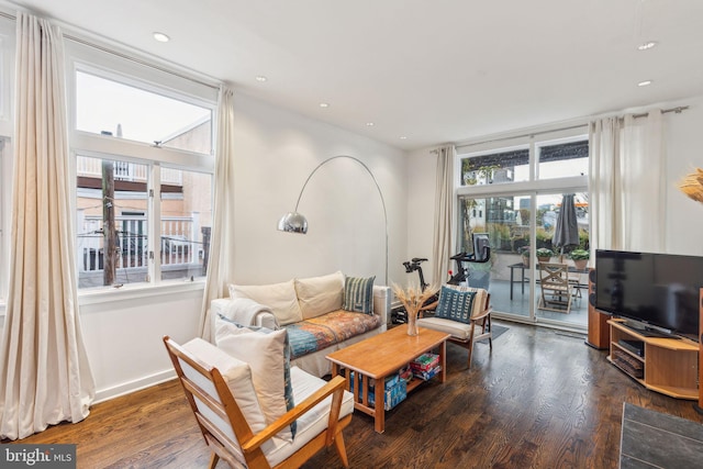 living room featuring dark hardwood / wood-style floors