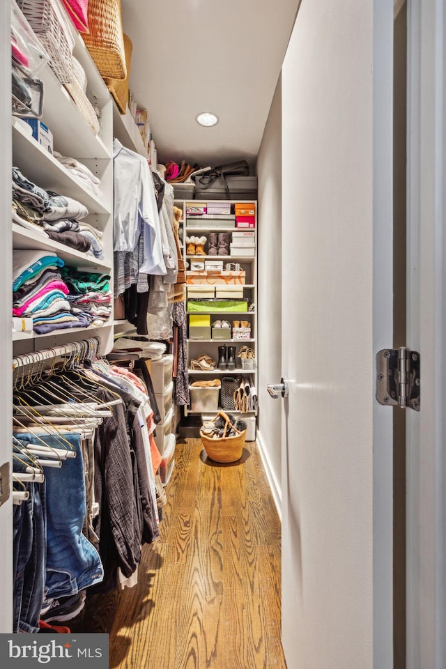 spacious closet featuring wood-type flooring