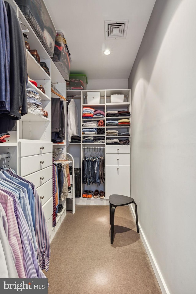 view of walk in closet