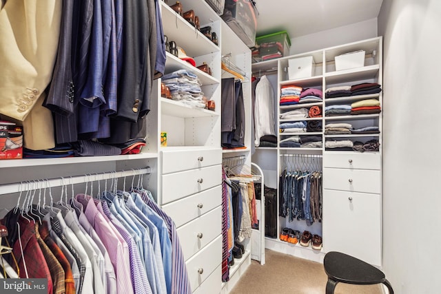 walk in closet with light colored carpet