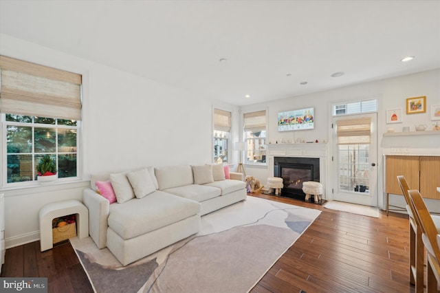 living room with wood-type flooring