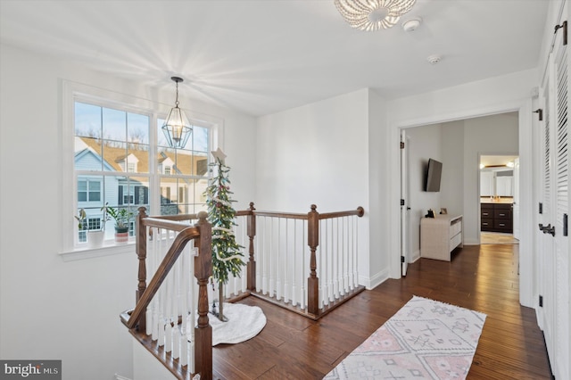 corridor with a notable chandelier and dark hardwood / wood-style flooring