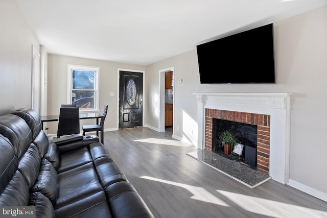 living room with a fireplace and wood-type flooring