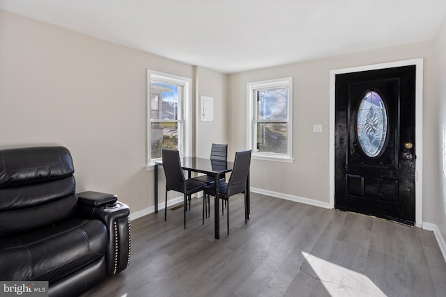 foyer entrance featuring hardwood / wood-style floors