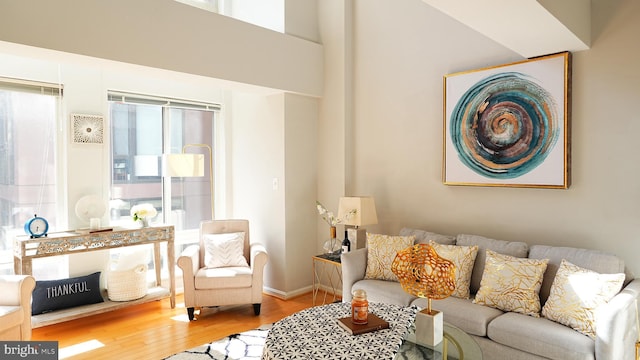 living room with hardwood / wood-style flooring