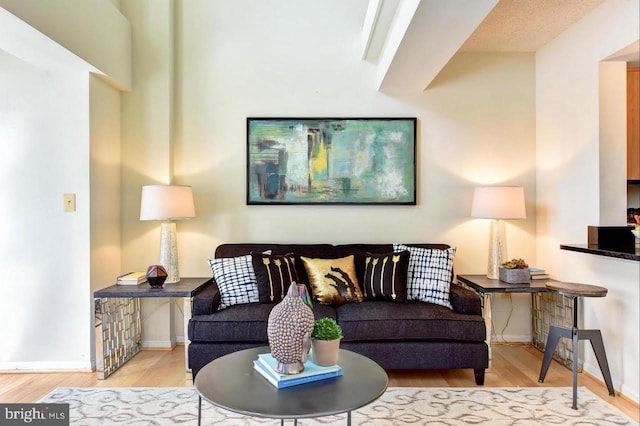 living room featuring light hardwood / wood-style floors