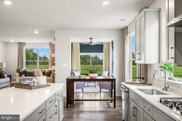 kitchen with dark hardwood / wood-style floors, sink, a wealth of natural light, and stainless steel appliances