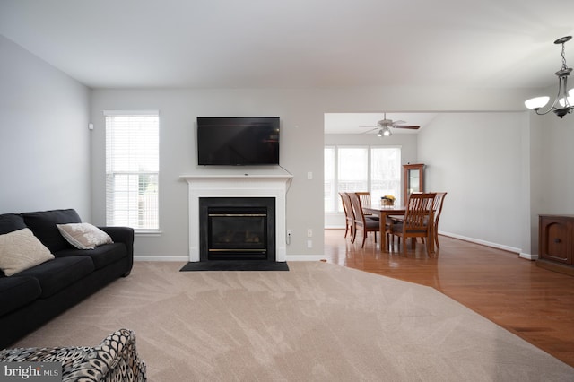 living room with plenty of natural light, ceiling fan with notable chandelier, and light hardwood / wood-style flooring