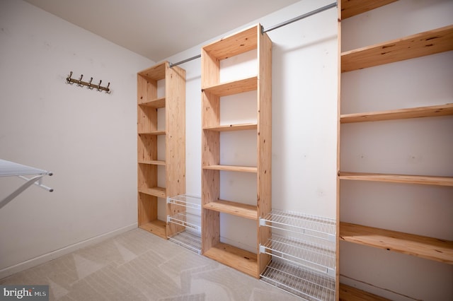 spacious closet featuring light carpet