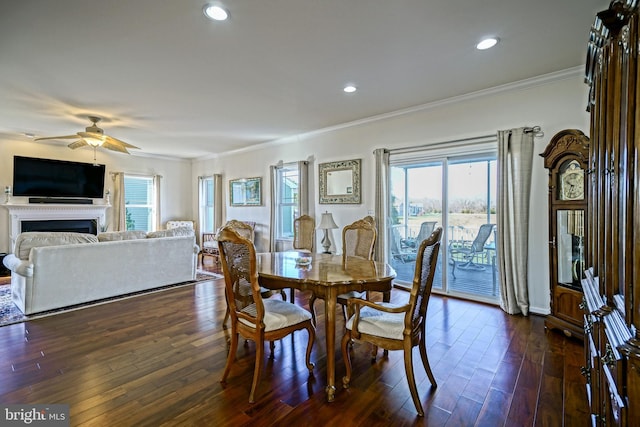 dining space featuring dark hardwood / wood-style flooring, crown molding, and ceiling fan