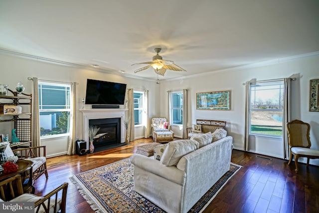 living room featuring dark hardwood / wood-style flooring, crown molding, a wealth of natural light, and ceiling fan