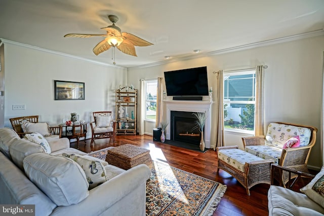 living room with ceiling fan, ornamental molding, and dark hardwood / wood-style flooring