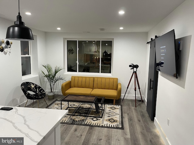 living room featuring hardwood / wood-style floors and a barn door