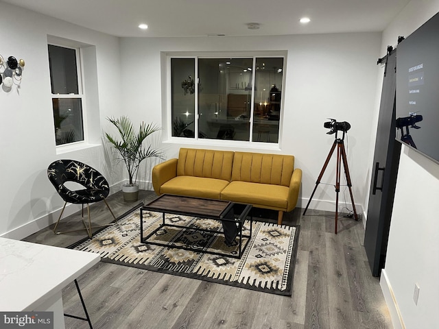 living room with a barn door and wood-type flooring