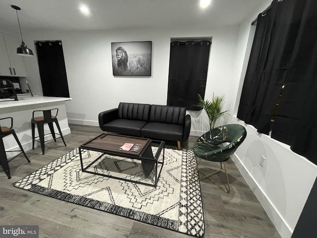 living room featuring wood-type flooring