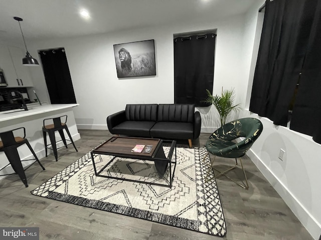 living room featuring hardwood / wood-style floors