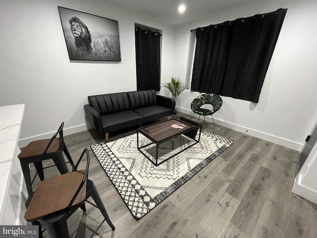 living room with wood-type flooring