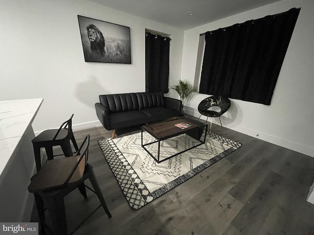 living room featuring hardwood / wood-style floors