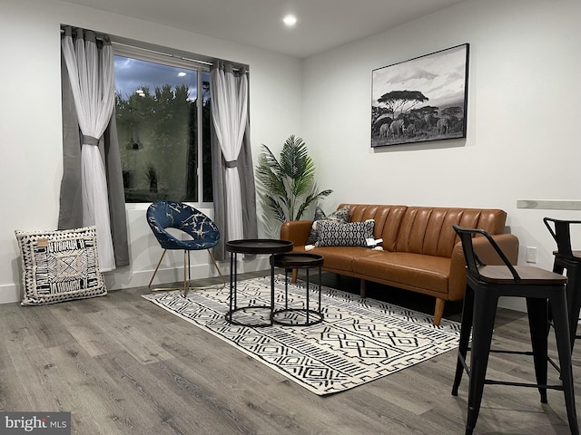 living room with wood-type flooring