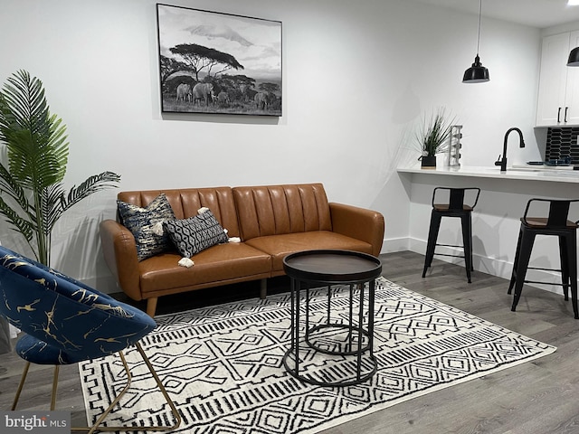 living room with hardwood / wood-style floors and sink