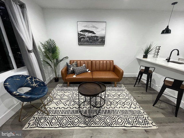 living room featuring hardwood / wood-style flooring and sink