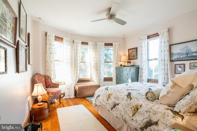 bedroom with light hardwood / wood-style flooring, multiple windows, and ceiling fan