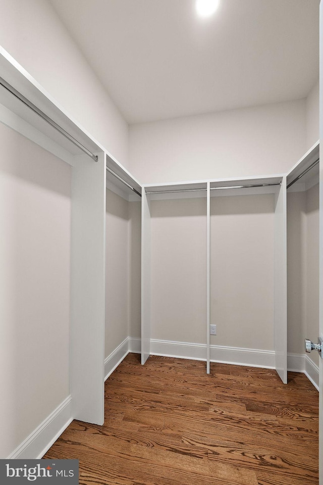 walk in closet with dark hardwood / wood-style floors