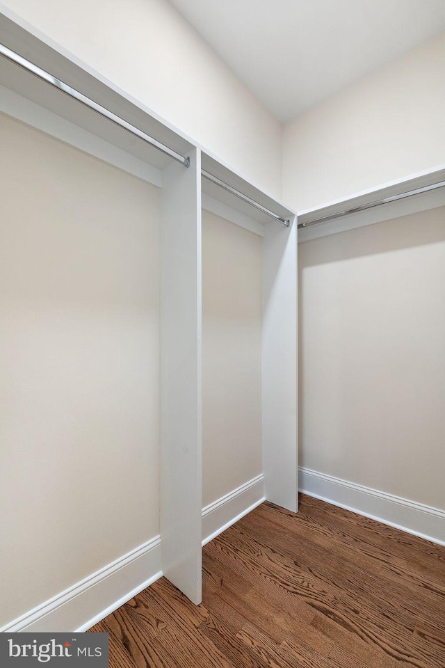 walk in closet with dark hardwood / wood-style flooring