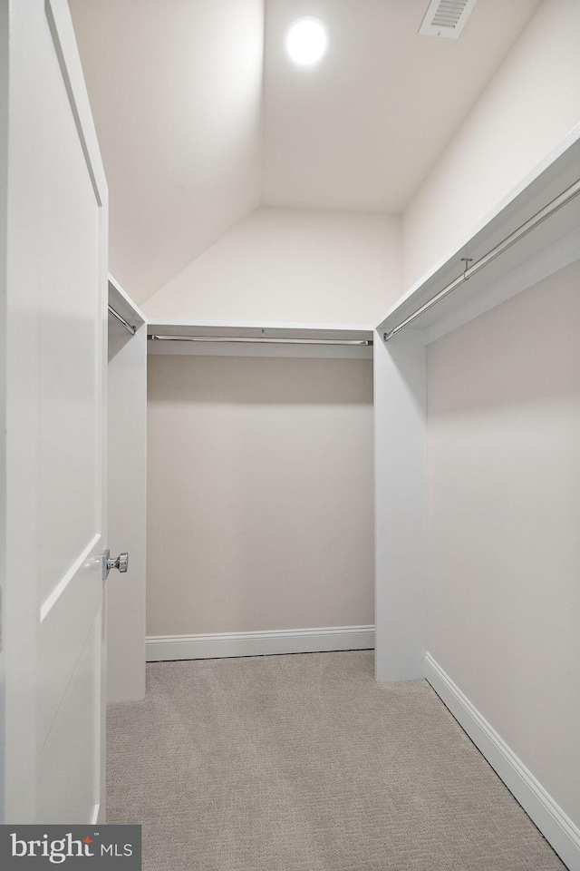 walk in closet with light colored carpet