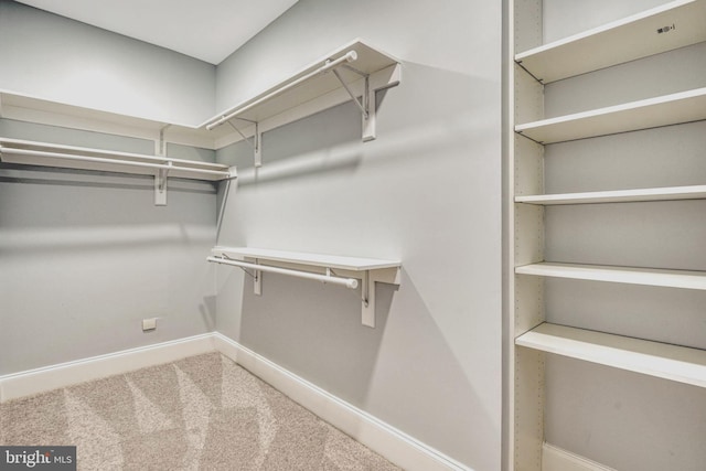 spacious closet featuring carpet floors