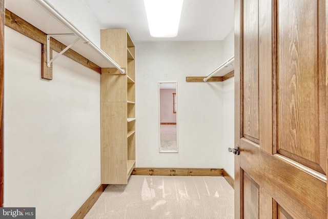 spacious closet featuring light colored carpet